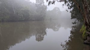 river with mist