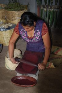 A woman grinding up cochineal beetles to make a dye