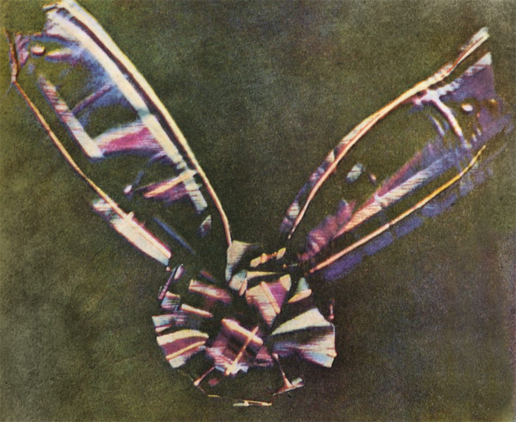 Maxwell - tartan ribbon - the first colour photograph