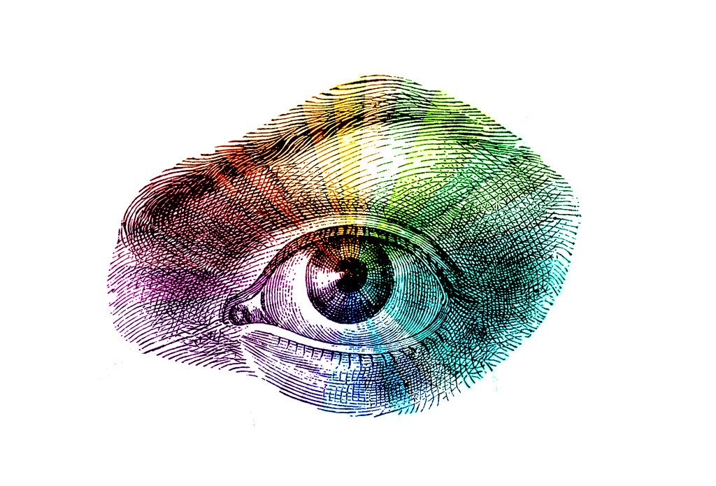 2.3 The eye – how we see colour – Colour Theory: Understanding and ...