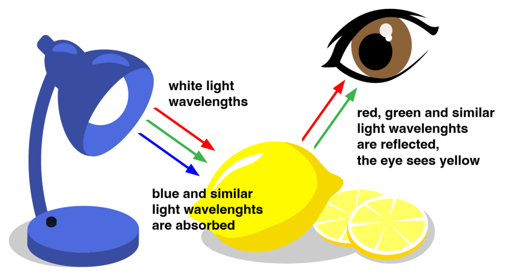 Blue light is absorbed by lemons, red and green is reflected - the eye sees yellow.