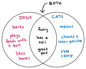 Venn diagram. Two circles overlapping. In the left-hand circle is written the title 'DOGS'. Notes underneath say: barks; plays fetch with a ball; and likes bones. In the right-hand circle is the title 'CATS'. Notes underneath say: meows; chases a laser point; and likes catnip. Where the circles intersect it says 'BOTH' and the notes say: furry; has a tail; and great pet.