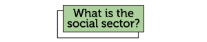 What is the social sector?