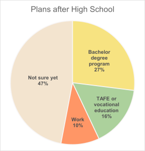 Pie chart depicting the plans after high school of the survey respondents