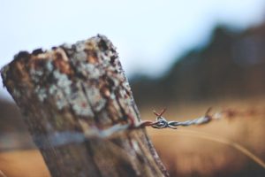 close up of old fence with barbed wire