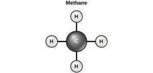 Diagram of a methane molecule. Carbon can form four covalent bonds to create an organic molecule. The simplest carbon molecule is methane (CH4).