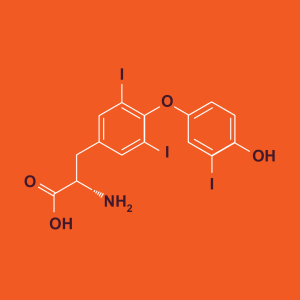 Figure 3b. The structure of T3