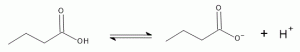 A reaction is shown. Butanoic acid is the reactant, and the products are a hydrogen cation and the remainder of the butanoic acid structure after this ion has dissociated. The hydrogen that has separated is the one formerly on the carboxylic acid group, the H from the OH attached to the carbonyl carbon.