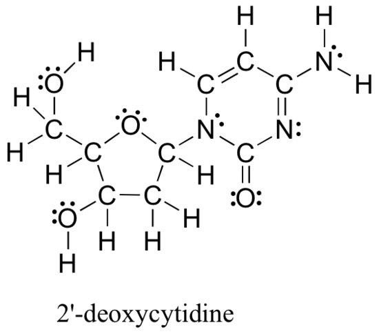 A representation of 2-deoxycytidine showing all atoms and bond connections including 9 C atoms, 4 O atoms, 3 N atoms and 13 H atoms. Image also shows some lone pair electrons as dots and double bonds.