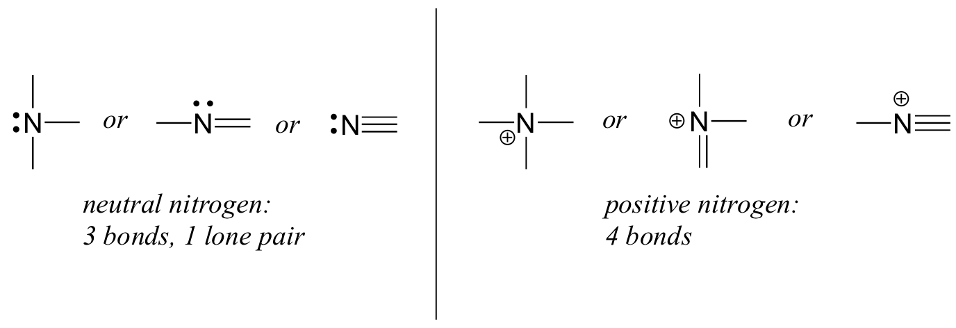 Neutral nitrogen results when N has any of these arrangements: 3 single bonds and one lone pair, a single and double bond and one lone pair, or a triple bond with one lone pair. Nitrogen with a positive charge occurs when N has 4 single bonds, or 2 single and 1 double bond, or 1 single and 1 triple bond.