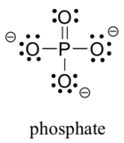 Phosphate anion is shown. P is in the center surrounded by 4 oxygen atoms. 3 of these are connected to P by single bonds, have 3 lone pairs and a negative charge. The fourth is bonded with a double bond, has 2 lone pairs and no charge. Thus P is shown with 10 electrons around it, demonstrating it does not need to adhere to the octet rule.