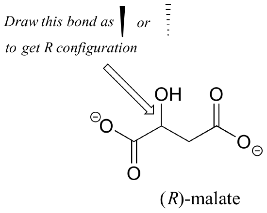 (R)-malate is shown: A chain of 4 carbons with COO- at carbons 1 and 4. At carbon 2 a bond to OH is shown. Should it be a solid or dashed wedge.