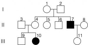 The inheritance of autosomal recessive traits is shown using a pedigree analysis. Among the three generations shown, only the last two generations manifest the trait/disease.