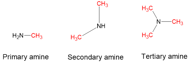 In a primary amine nitrogen is attached only to a one carbon. In secondary amines nitrogen is attached to two carbons and in a tertiary amine nitrogen is attached to three carbons.