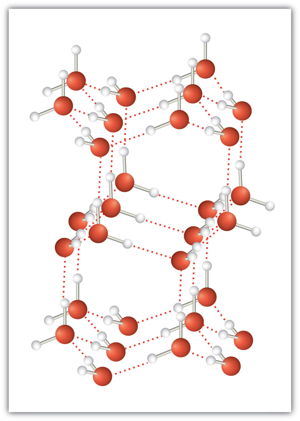 Water (ice) molecules aligned in a 3D lattice. The smaller white hydrogen atoms point towards nearby larger red oxygen atoms, with dotted lines representing attraction forces between them.