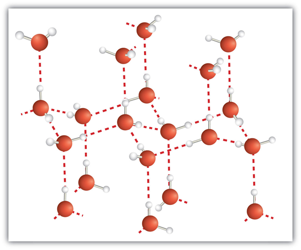 Diagram of the molecular structure of ice, depicting water molecules connected in a three dimensional pattern. Each molecule consists of two smaller white spheres representing hydrogen atoms bonded to a larger red sphere representing an oxygen atom, with dashed lines indicating hydrogen bonds between molecules. The red balls have double the radius of the white balls.
