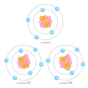 Three atomic diagrams illustrating isotopes of carbon: top shows carbon-12 with six neutrons, bottom left is carbon-13 with seven neutrons, and bottom right is carbon-14 with eight neutrons.