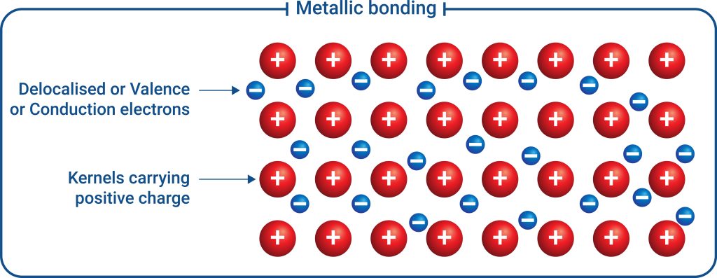 A diagram of metallic bonding, where a dense array of large red spheres labeled with positive signs depicts the metal cations or kernels carrying a positive charge. These cations are embedded in a 'sea' of delocalized valence electrons, shown as small blue spheres with negative signs.