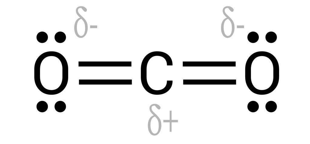 A lewis dot diagram of carbon dioxide: between two oxygens is a central carbon atom with a delta plus sign indicating a partial positive charge—the oxygen and carbon are double-bonded. The oxygen atoms each have a delta minus sign signifying a partial negative charge, and two pairs of valence electrons as four dots. The linear arrangement of the molecule with equal but opposite polarity on the oxygen atoms and thus carbon dioxide is a non-polar molecule.