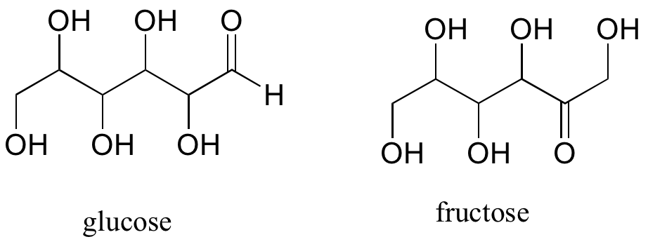 Glucose and fructose are shown. Each contains a 6-carbon chain. for glucose, carbon 1 is double bonded to an oxygen, carbons 2-6 are each bonded to an OH group. For fructose, carbon 2 has a double bond to oxygen, and carbons 1, 3, 4, 5, and 6 are each bonded to an OH.