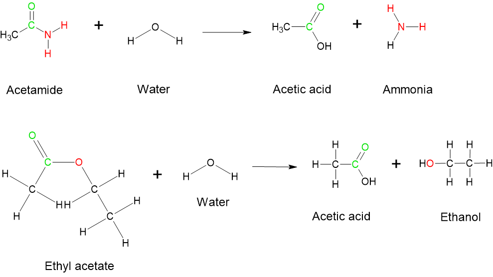 Hydrolysis of acetamide produces acetic acid and ammonia. The carbonyl and NH2 groups in acetamide are transferred to acetic acid and ammonia upon hydrolysis, respectively. Hydrolysis of ethyl acetate produces acetic acid and ethanol. The carbonyl group and the oxygen atom present in the ester transferred to acetic acid and ethanol, respectively.