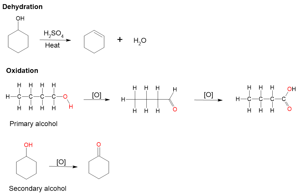 Cyclohexanol reacts with sulphuric acid in the presence of heat to produce cyclohexene. Primary alcohol butan-1-ol undergo oxidation to form butanal and further oxidation of butanal forms butanoic acid. Secondary alcohol cyclohexanol undergo oxidation to produce cyclohexanone.