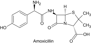 The chemical structure of amoxicillin is shown. Amoxicillin consists of carbon, hydrogen, oxygen, nitrogen and sulpha atoms and three-ring structures.