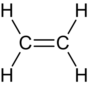Two carbons joined by a double bond and two hydrogens attached to each carbon.