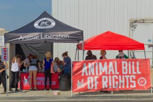 Animal Liberation stall by Direct Action Everywhere to Support the Right to Rescue and the Animal Bill of Rights